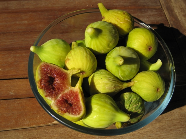First main crop figs